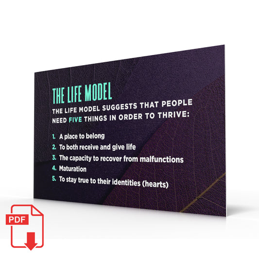 Return To Joy Life Model Slides